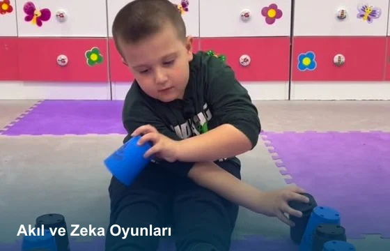 Akıl ve zeka oyunları etkinliği